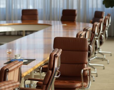 Composição do Conselho de Administração de organizações sociais quanto aos membros natos representantes do Poder Público